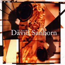 David Sanborn: A Tear for Crystal (Edit)