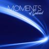 Various Artists: Moments of Ambient