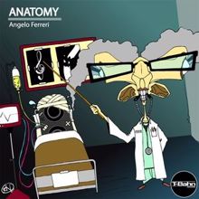 Angelo Ferreri: Anatomy