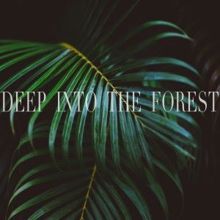 Rain Sounds: Deep into the Forest