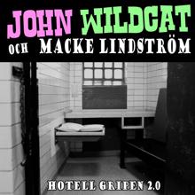 John Wildcat: Hotell gripen 2.0