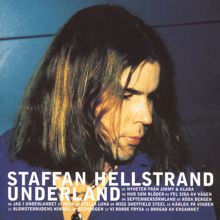 Staffan Hellstrand: Underland