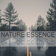 Rain Sounds: Nature Essence