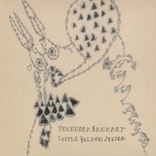 Devendra Banhart: Little Yellow Spider