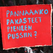 Ismo Alanko: Pannaanko pakasteet pieneen pussiin? - EP