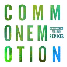 Rudimental, MNEK: Common Emotion (The Golden Pony Remix)