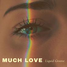 Liquid Groove: Much Love