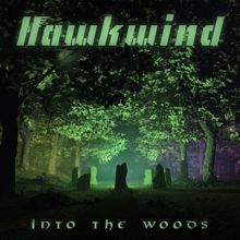 Hawkwind: Have You Seen Them