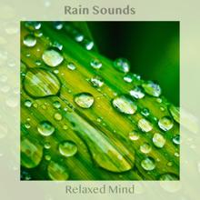 Rain Sounds: Relaxed Mind