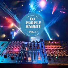 DJ Purple Rabbit: DJ Purple Rabbit, Vol. 1