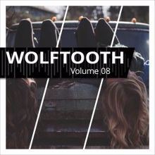 Wolftooth: Wolftooth, Vol. 8