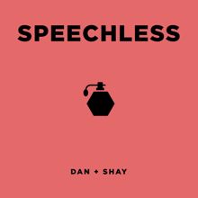 Dan + Shay: Speechless