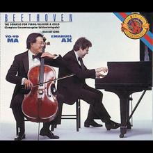 Yo-Yo Ma;Emanuel Ax: III. Rondo. Allegro