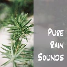 Rain Sounds: Pure Rain Sounds