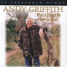 Andy Griffith: Avon Project