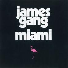 James Gang: Head Above the Water