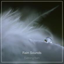 Rain Sounds: Evening Rain