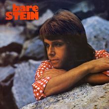 Stein Ingebrigtsen: Bare Stein