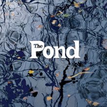 The Pond: The Pond