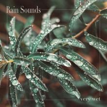 Rain Sounds: Very Wet