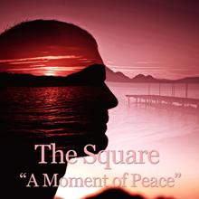 THE SQUARE: I Walk Around My Fears