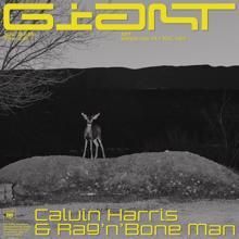 Calvin Harris, Rag'n'Bone Man: Giant