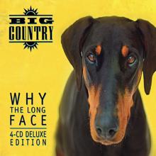 Big Country: Why the Long Face (Bonus Tracks & Demos)