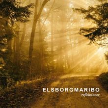 ElsborgMaribo: Refleksioner