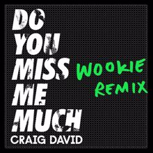 Craig David: Do You Miss Me Much (Wookie Remix)