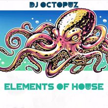 DJ Octopuz: Elements of House