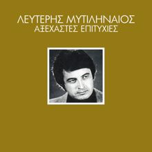 Lefteris Mitilineos: Axehastes Epitihies