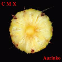 CMX: Aurinko (2012 Remaster)