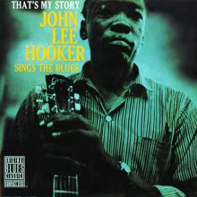 John Lee Hooker: I'm Wanderin' (Album Version) (I'm Wanderin')