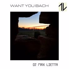 DJ Max Lietta: Want You Back