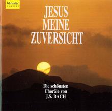 Helmuth Rilling: Bach, J.S.: Jesus meine zuversicht