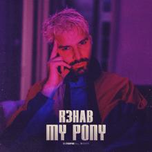 R3HAB: My Pony