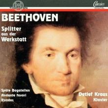 Detlef Kraus: Ludwig van Beethoven: Splitter aus der Werkstatt