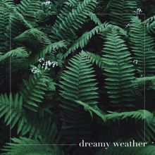 Rain Sounds: Dreamy Weather