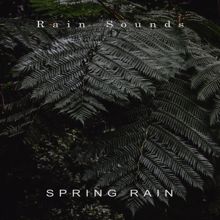 Rain Sounds: Spring Rain