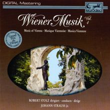 Robert Stolz: Wiener Musik Vol. 4