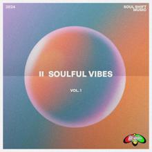 Various Artists: Soulful Vibes Vol. 1