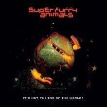 Super Furry Animals: It's Not the End of the World?