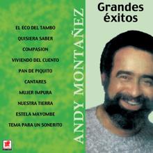 Andy Montañez: Grandes Éxitos