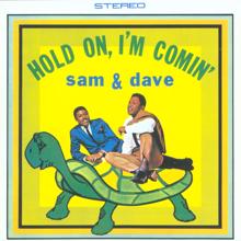 Sam & Dave: I Take What I Want (Mono)