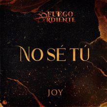 Joy: No Sé Tú (De La Telenovela "Fuego Ardiente")