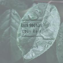 Rain Sounds: Cozy Rain