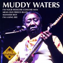 Muddy Waters: I'm A King Bee (Album Version)
