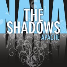 The Shadows: Shadoogie