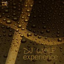 DJ Wolf: Experience