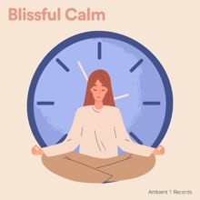 Anti Stress: Blissful Calm, Pt. 5